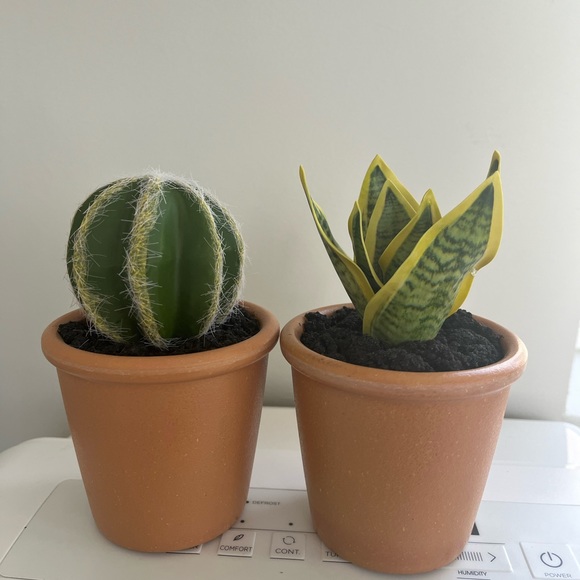 Fake Cactus and Fake Snake Plant with Pots and Realistic texture and Soil! - Picture 1 of 5